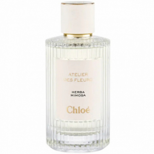 Chloe herba mimosa