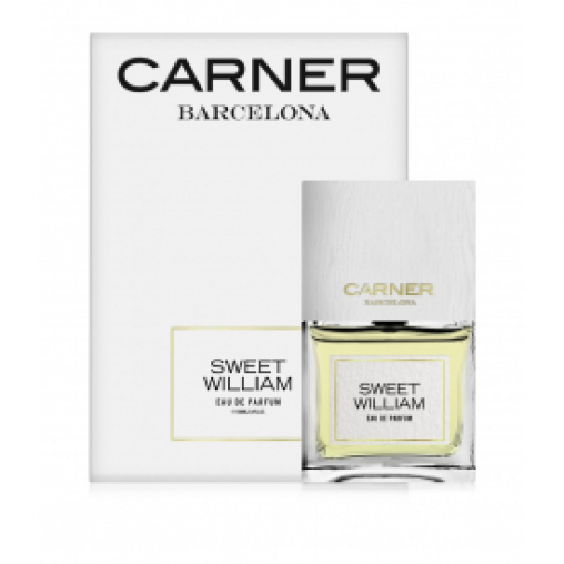Carner barcelona sweet william