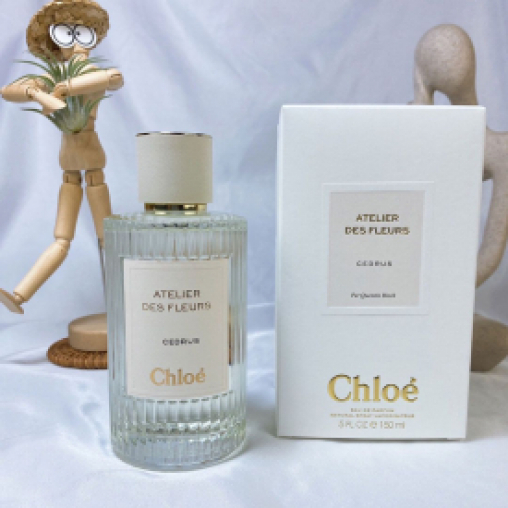 Chloé cedrus