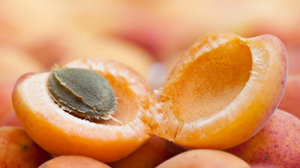 apricot fa 1024x576