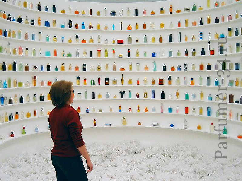 perfumery many bottles