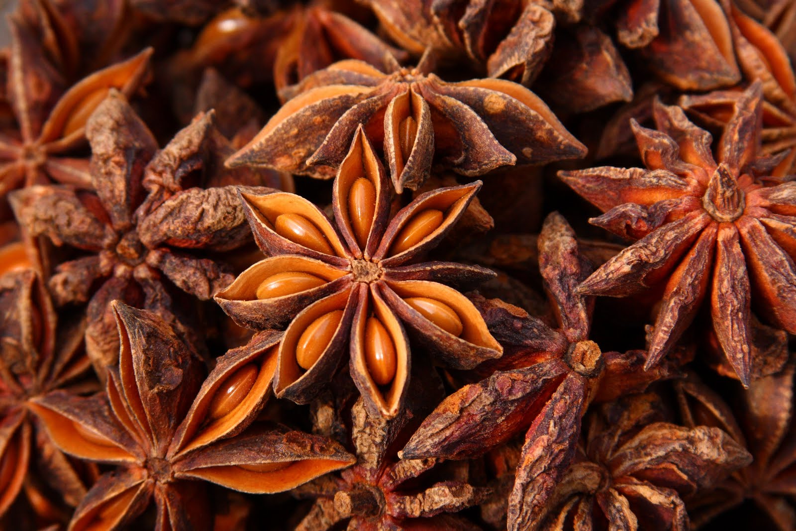 star anise